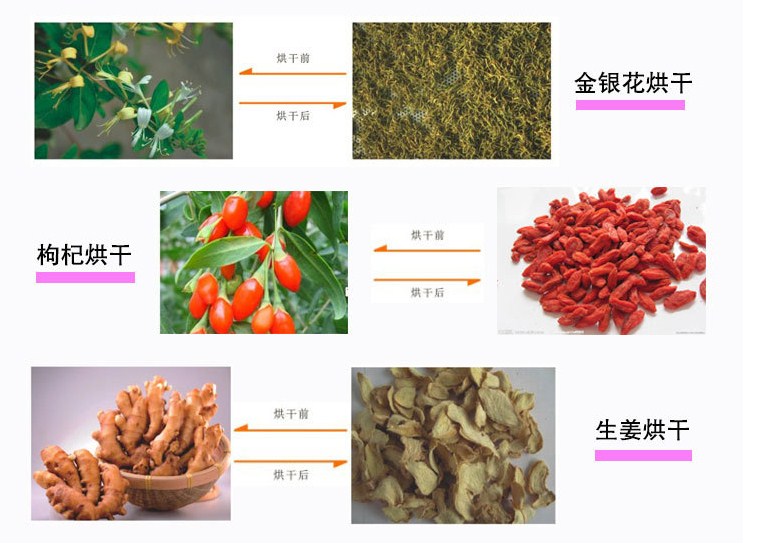 恒诺烘干知识：影响中药材烘干质量的因素